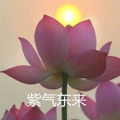 荣耀赛车手官方版下载